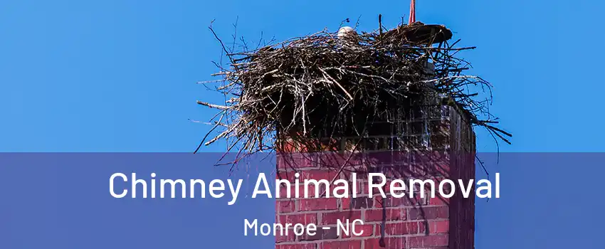  Chimney Animal Removal Monroe - NC