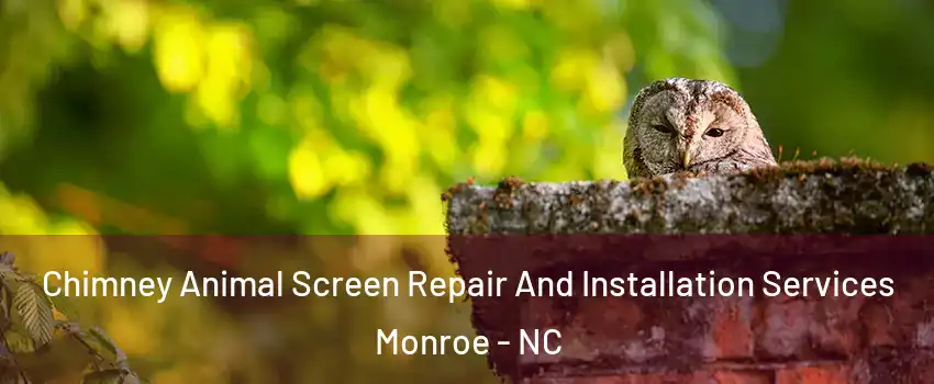  Chimney Animal Screen Repair And Installation Services Monroe - NC