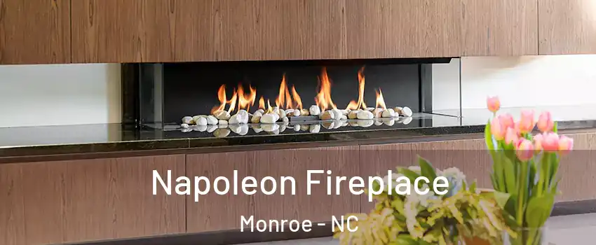 Napoleon Fireplace Monroe - NC